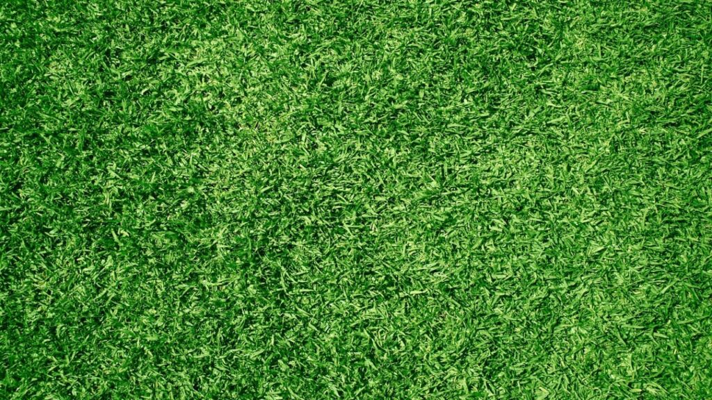 Download lawn maintenance contract template in PDF for free